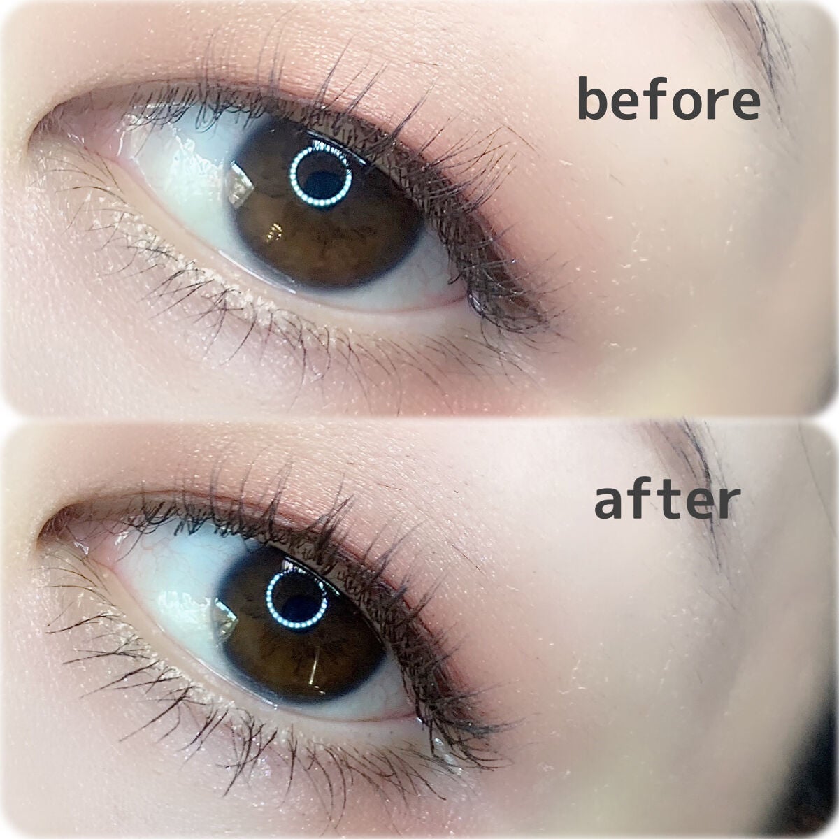 密着センシティブマスカラ/GIVERNY/マスカラを使ったクチコミ(3枚目)