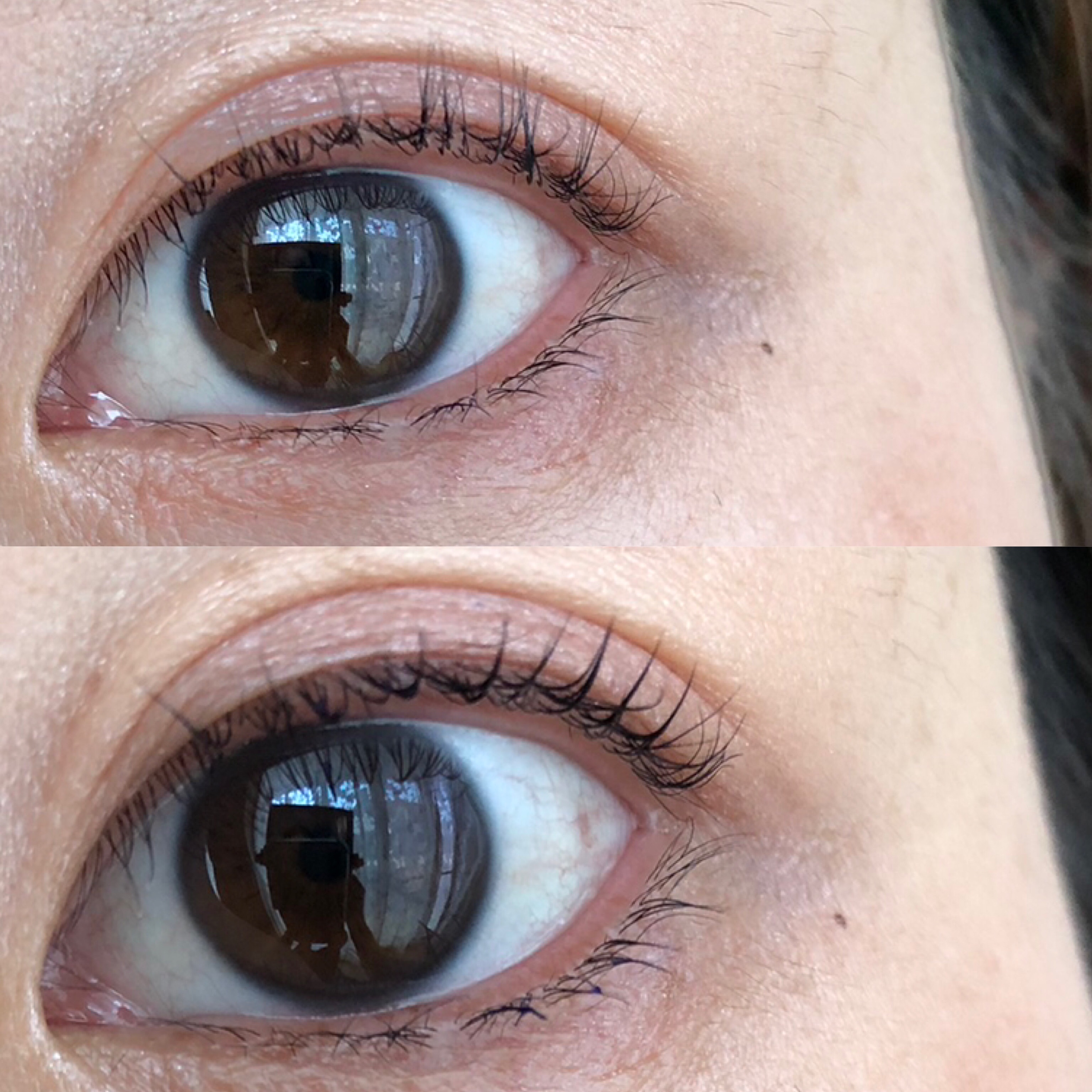 マジックティント/MAJOLICA MAJORCA/マスカラを使ったクチコミ（3枚目）