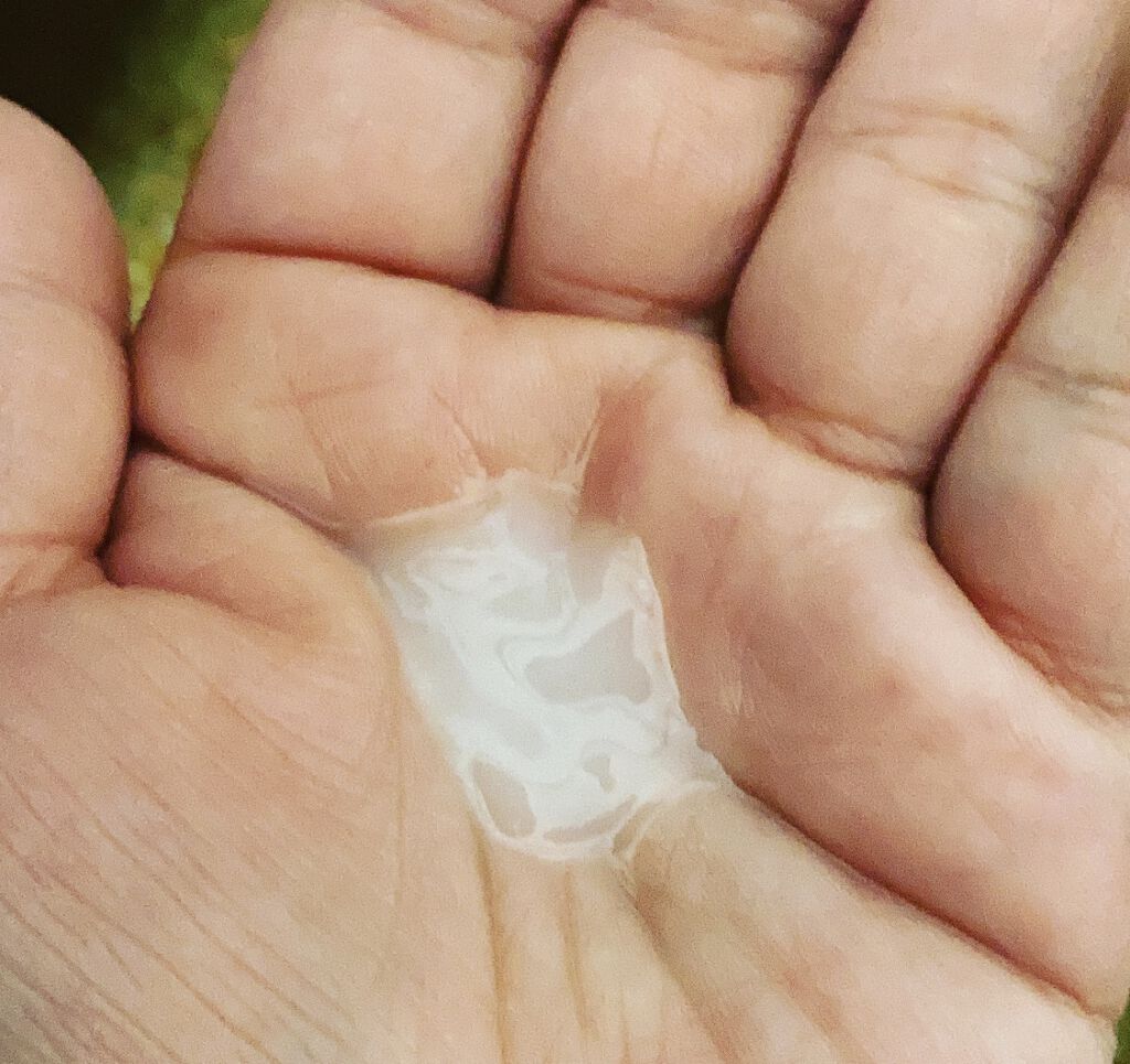 うるおいin手肌すっきり洗浄乳液/Pure-ria/ハンドクリームを使ったクチコミ（1枚目）