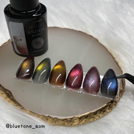 アニマルマグネットジェル/ネイル工房/ジェルネイルを使ったクチコミ(6枚目)