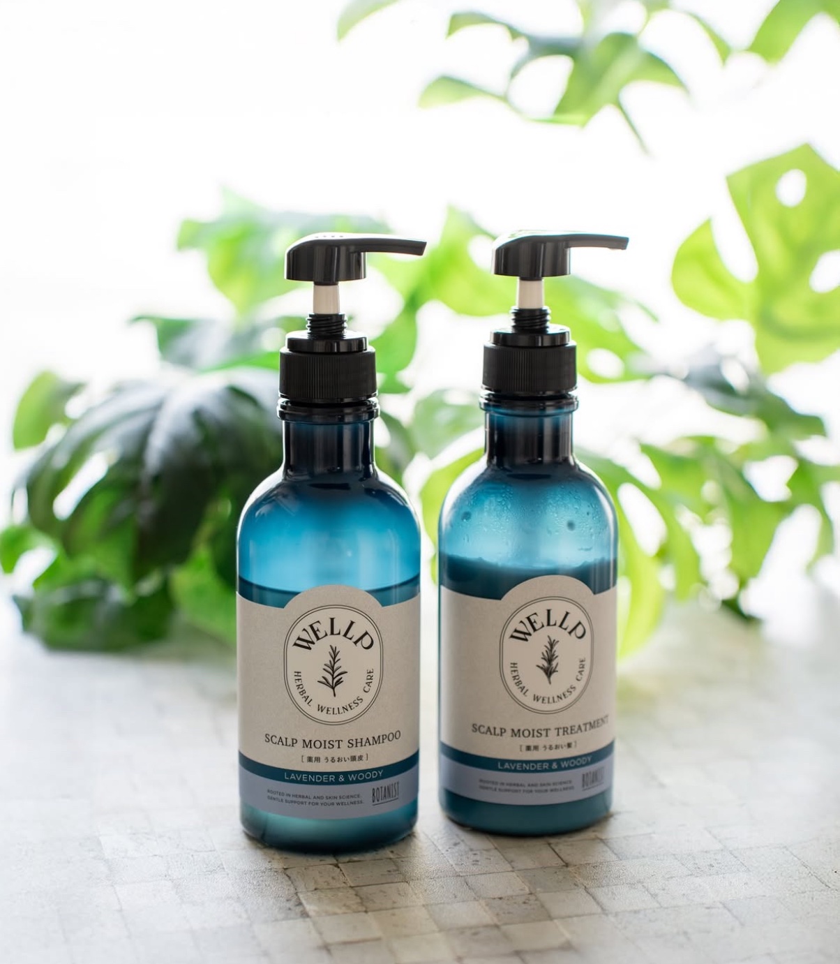 薬用スカルプケアシャンプー/トリートメント モイスト/WELLP/市販シャンプーを使ったクチコミ（1枚目）