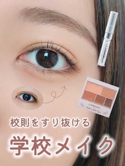 パーフェクトマルチアイズ/キャンメイク/アイシャドウパレットを使ったクチコミ(1枚目)