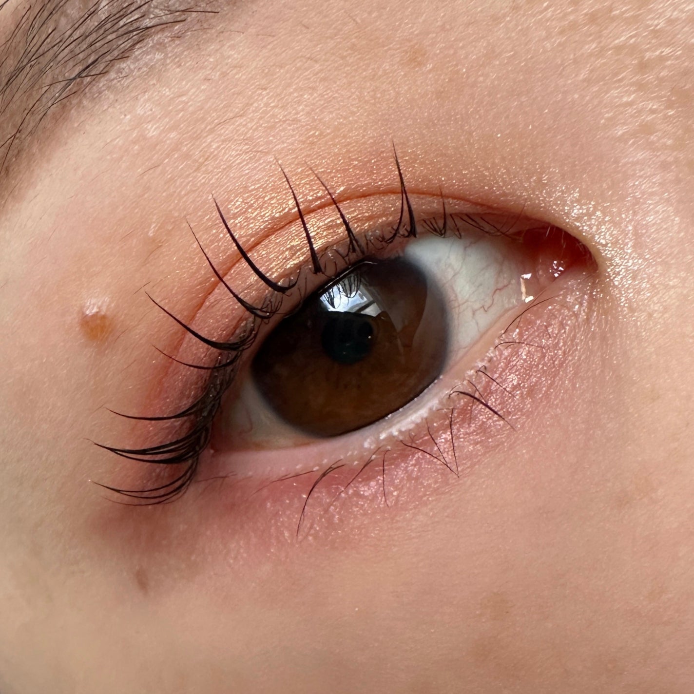 Eyeshadow 5 Colour Compacts/BYREDO/アイシャドウパレットを使ったクチコミ(2枚目)