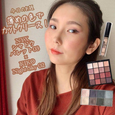 UT シャドウ パレット/NYX Professional Makeup/アイシャドウパレットを使ったクチコミ（1枚目）