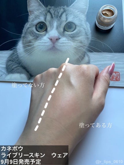 クリーム イン デイ/KANEBO/フェイスクリームを使ったクチコミ(4枚目)