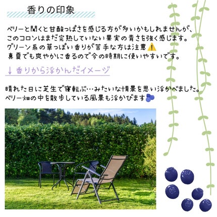 ブラックベリー & ベイ コロン 100ml/Jo MALONE LONDON/香水(レディース)の画像