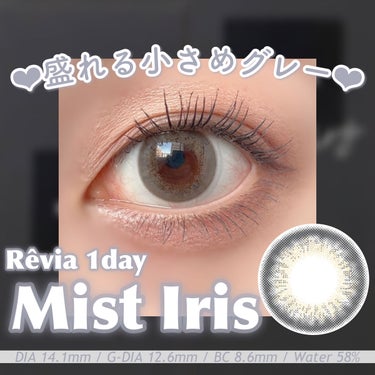 ReVIA 1day [COLOR] Mist Iris（ミストアイリス）/ReVIA/ワンデー（１DAY）カラコンの画像