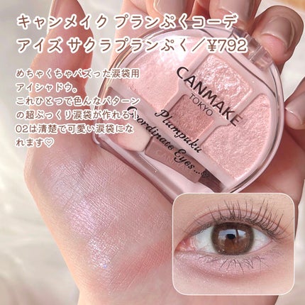 3wayスリムアイルージュライナー/キャンメイク/リキッドアイライナーを使ったクチコミ(5枚目)