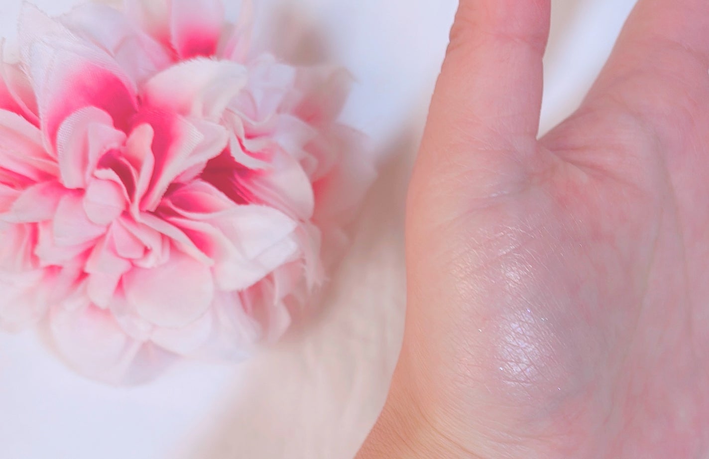 デュアルチーク/2aN/パウダーチークを使ったクチコミ(3枚目)