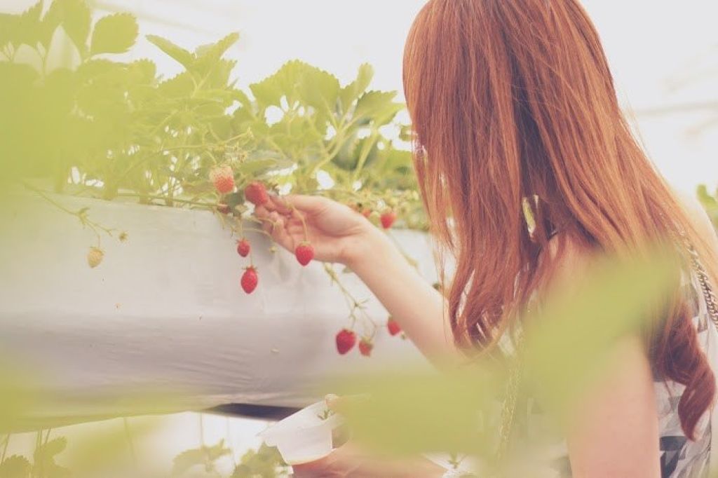 恋に効く?さくらコスメ8選♡のサムネイル