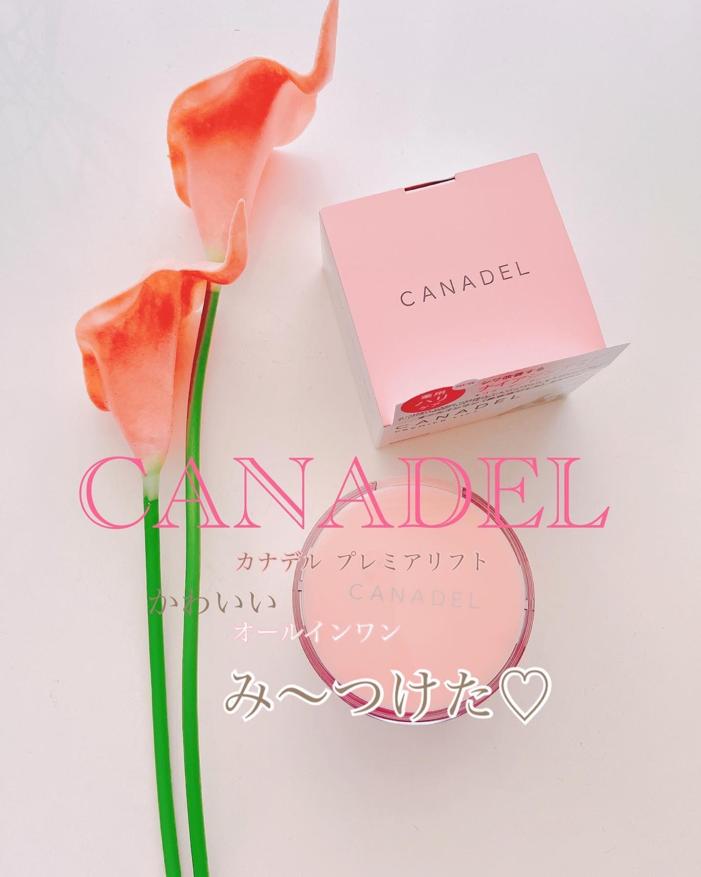プレミアリフト/CANADEL/オールインワン化粧品を使ったクチコミ(1枚目)