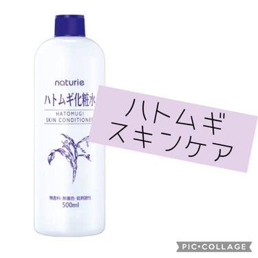 ハトムギ化粧水(ナチュリエ スキンコンディショナー R )/ナチュリエ/化粧水を使ったクチコミ（1枚目）