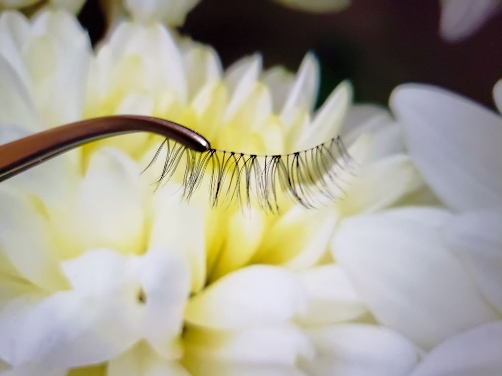 ディーアップアイラッシュ LASH Me　ラッシュミー 05 NATURAL/D-UP/つけまつげを使ったクチコミ（1枚目）