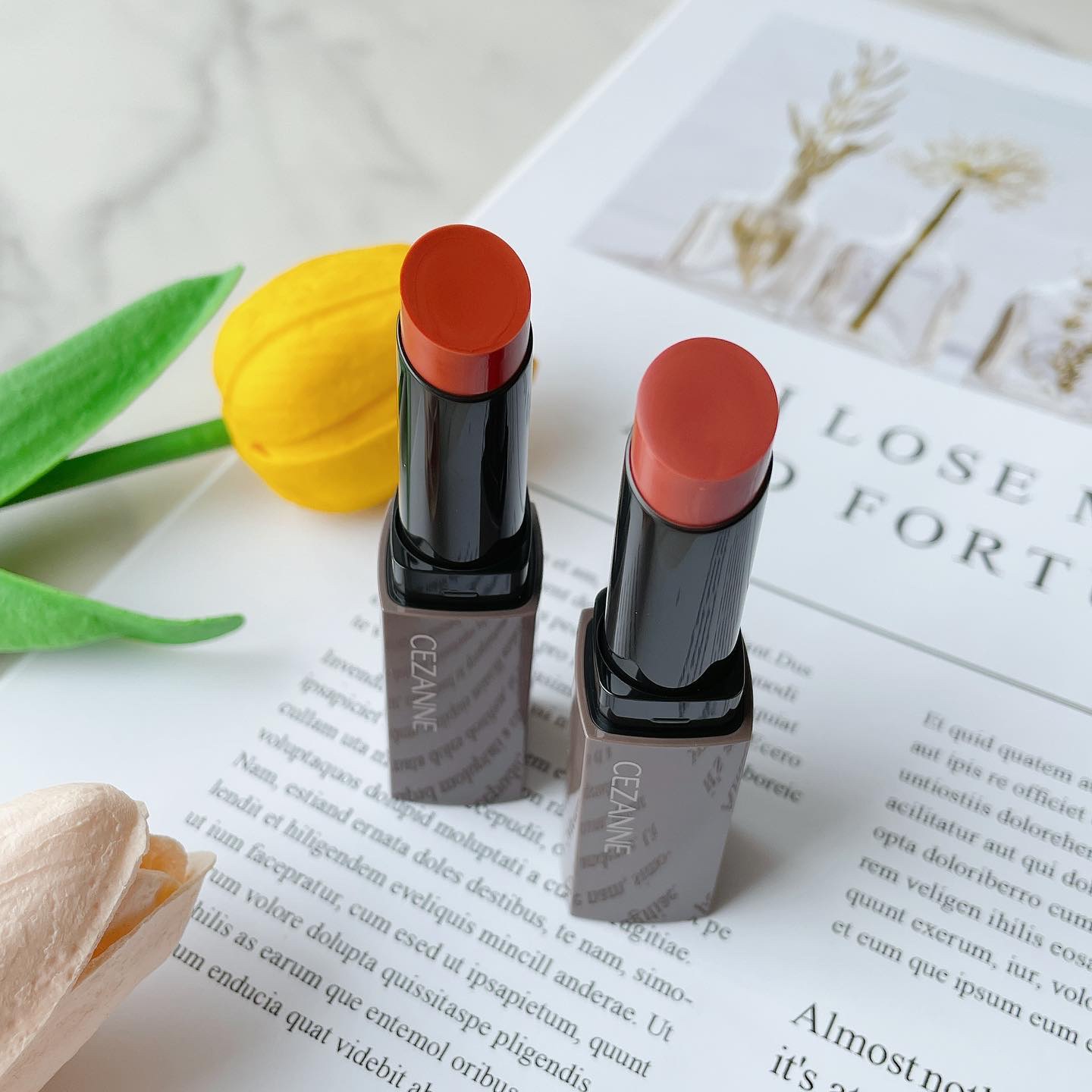 リップカラーシールド/CEZANNE/口紅を使ったクチコミ（2枚目）