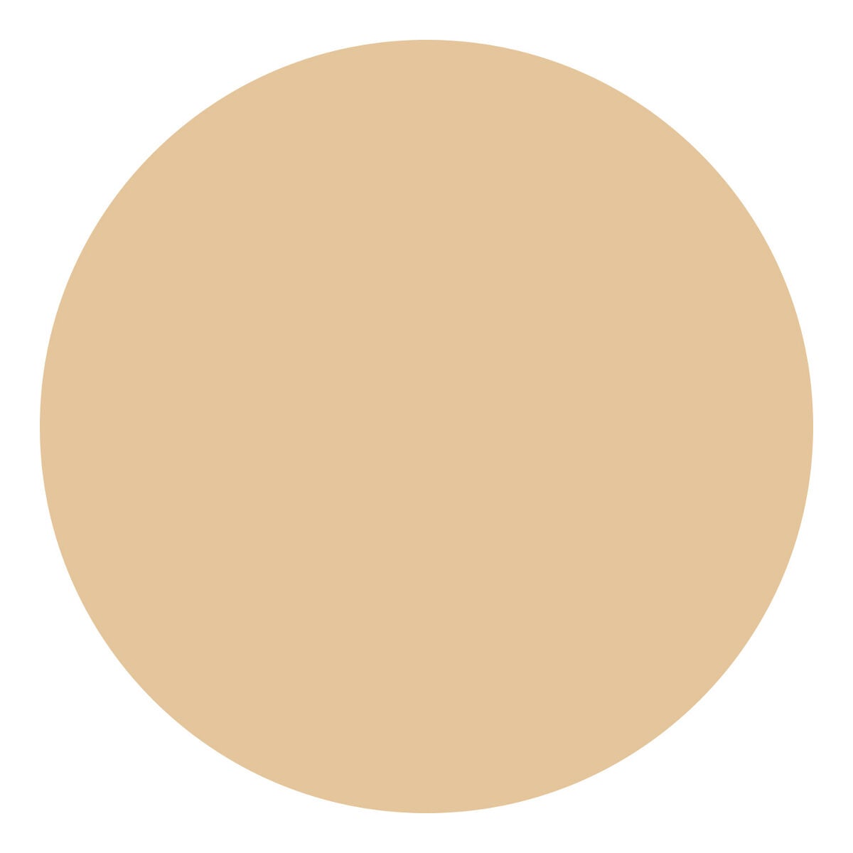 BB クリーム モイスト 03 健康的な肌色