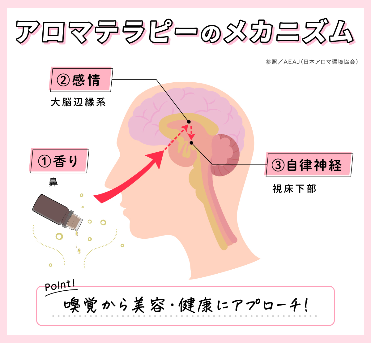 アロマテラピーのメカニズム。香りは鼻から感情（大脳辺縁系）に伝わり、自律神経（視床下部）に届く。嗅覚から美容・健康にアプローチ。