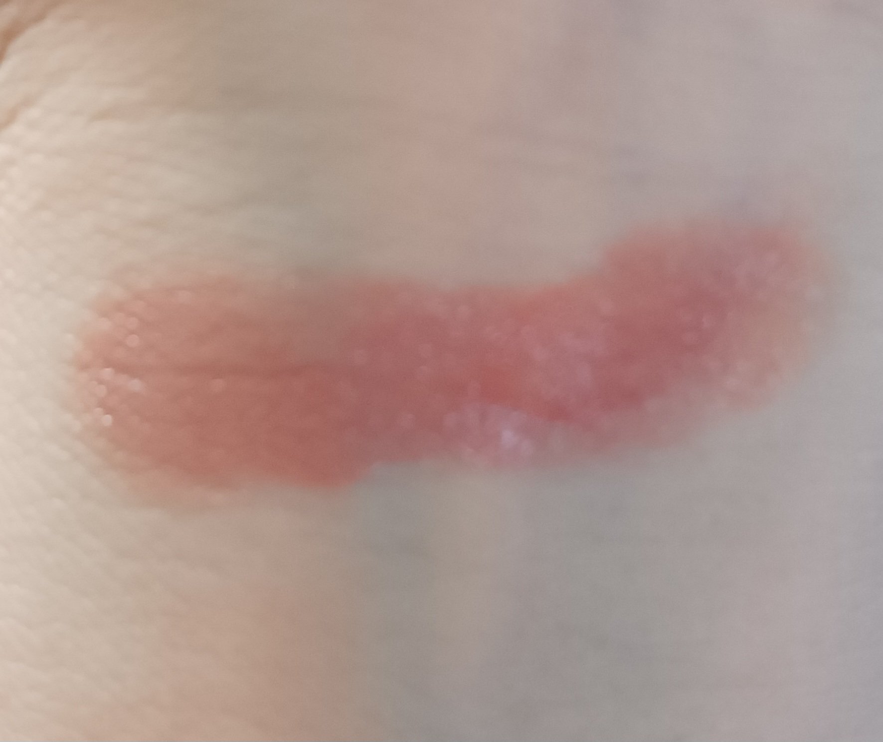 ネンマクフェイク ルージュ/Visée/口紅を使ったクチコミ（3枚目）