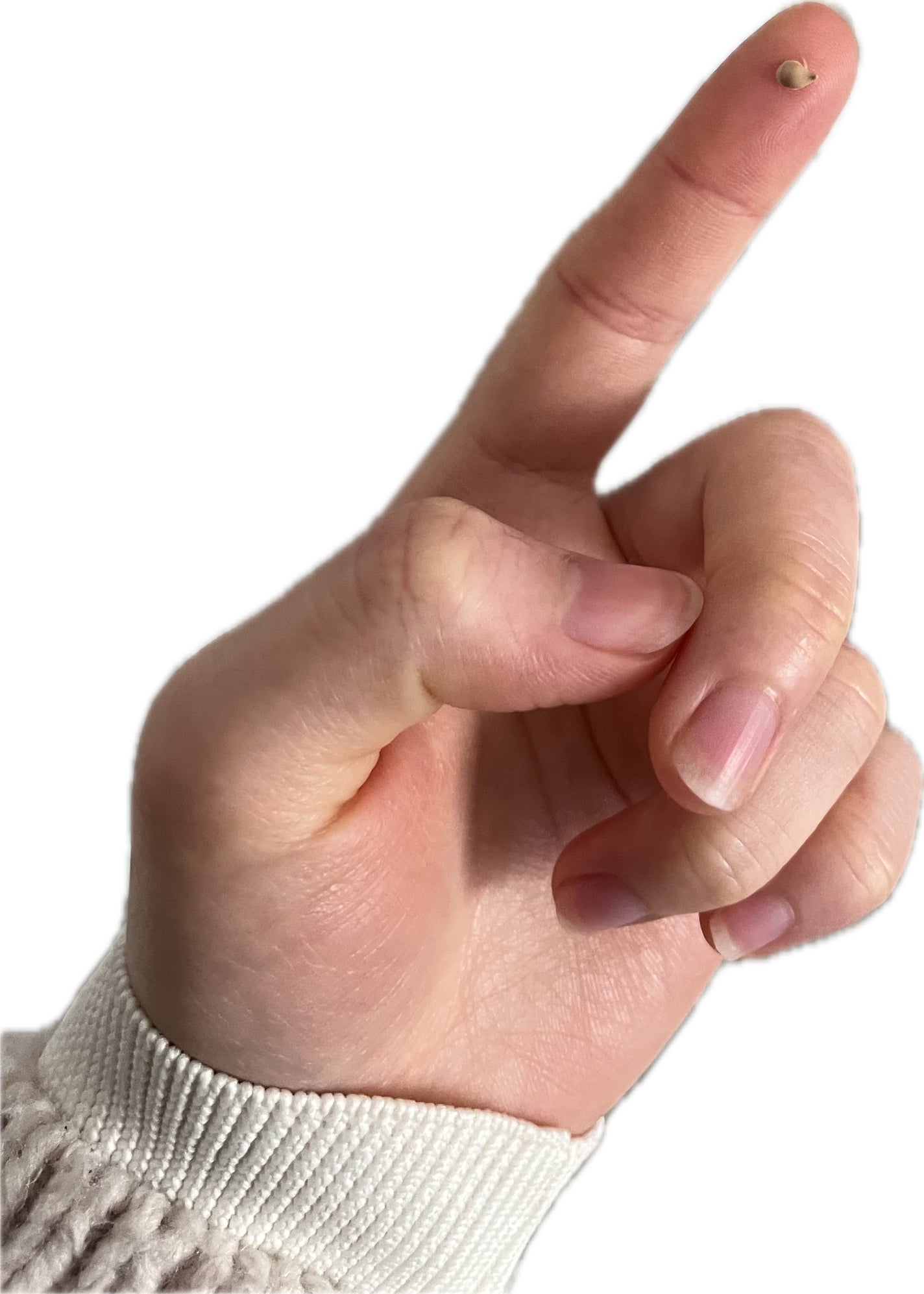 ラスティングベース/チャコット・コスメティクス/化粧下地を使ったクチコミ(2枚目)