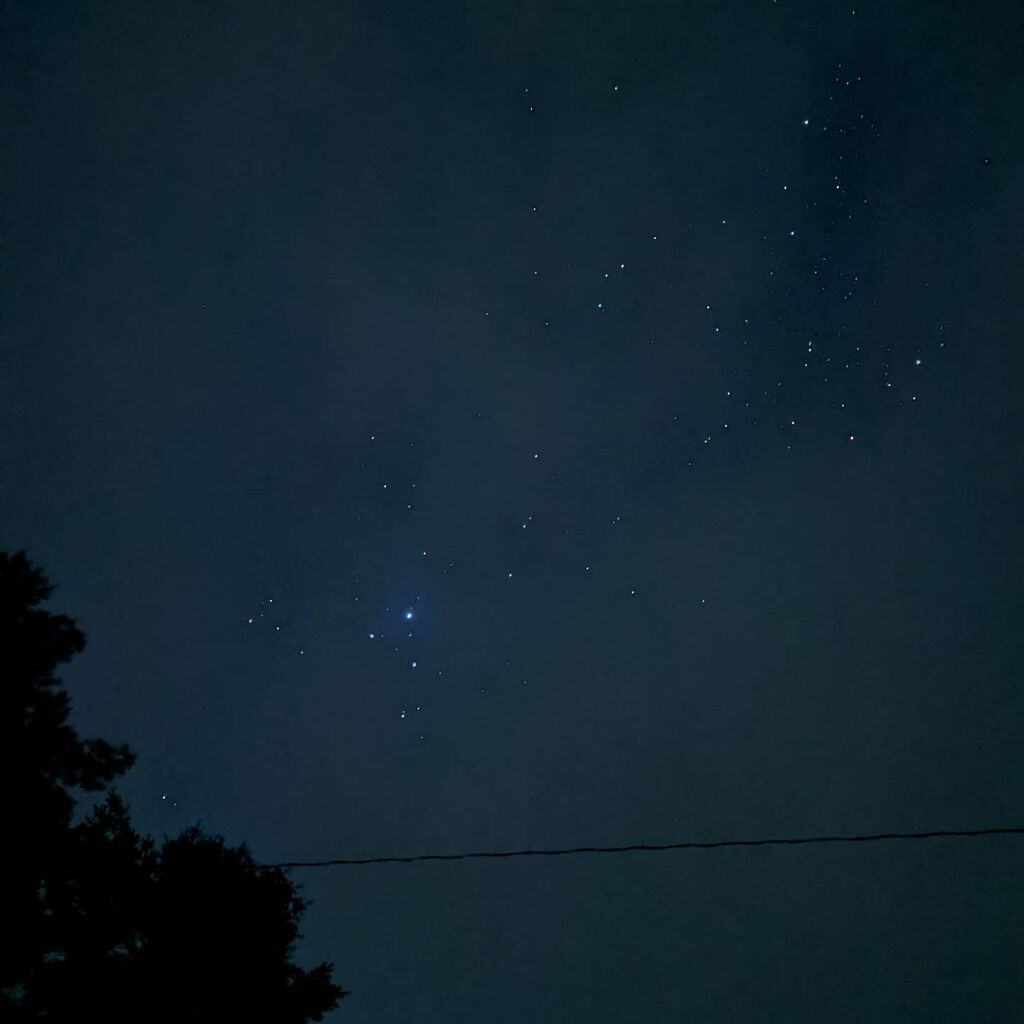 自己紹介/雑談/その他を使ったクチコミ（1枚目）