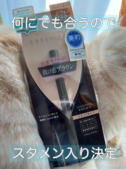 シルキーリキッドアイライナーWP/D-UP/リキッドアイライナーを使ったクチコミ(1枚目)
