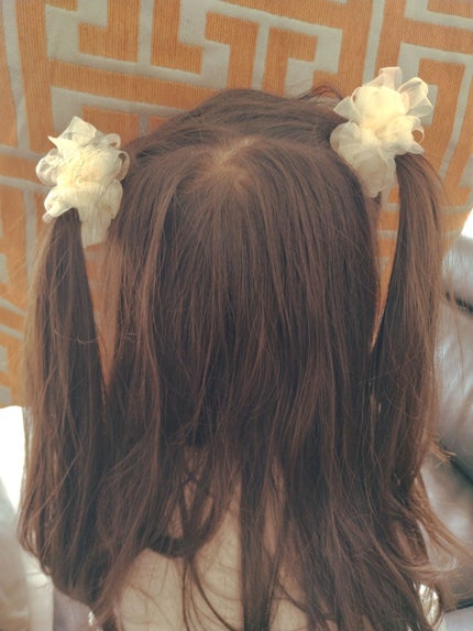 ヘアアクセサリー/DAISO/ヘアアクセサリーを使ったクチコミ(2枚目)
