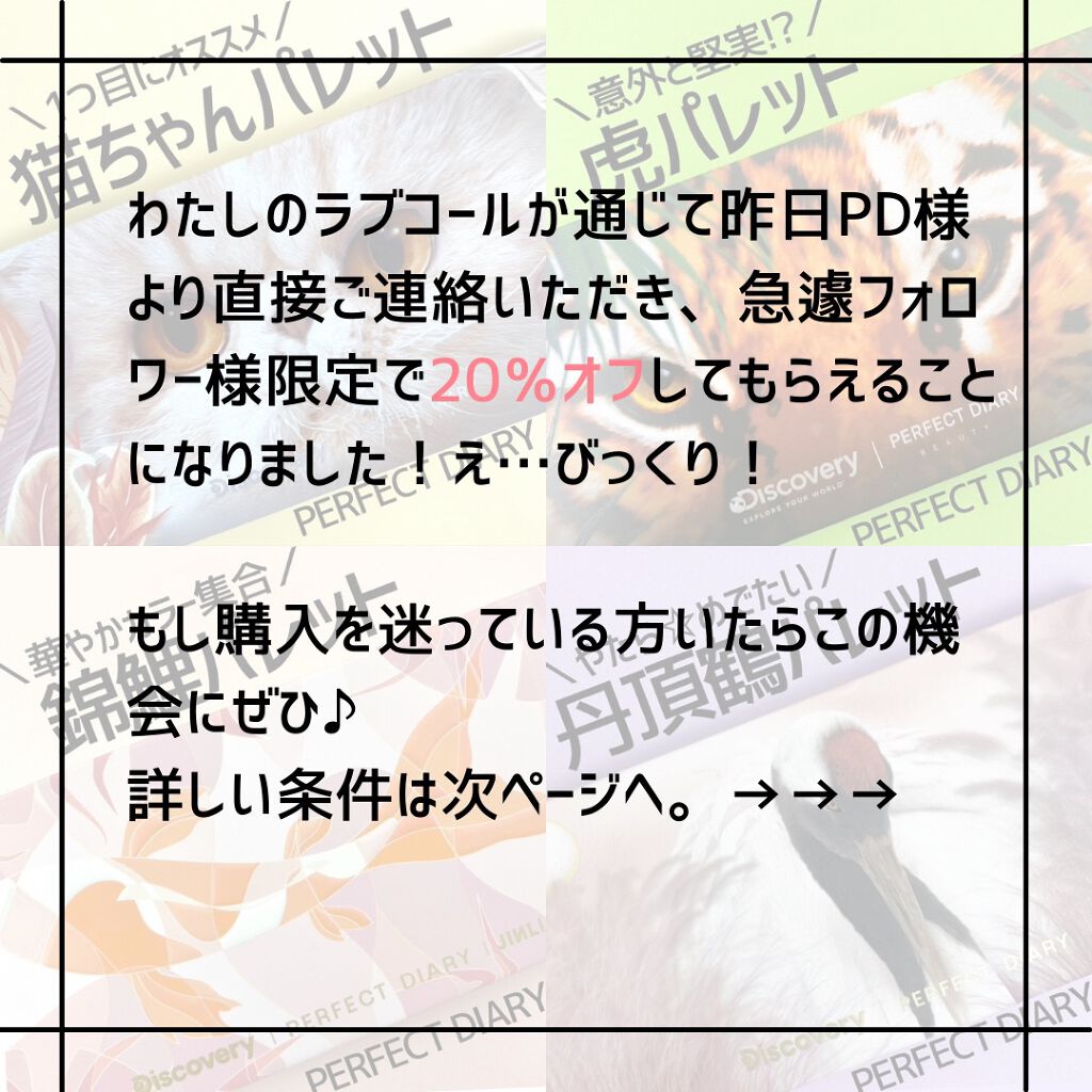 エクスプローラ12色 動物アイシャドウパレット/PERFECT DIARY/アイシャドウパレットを使ったクチコミ(2枚目)