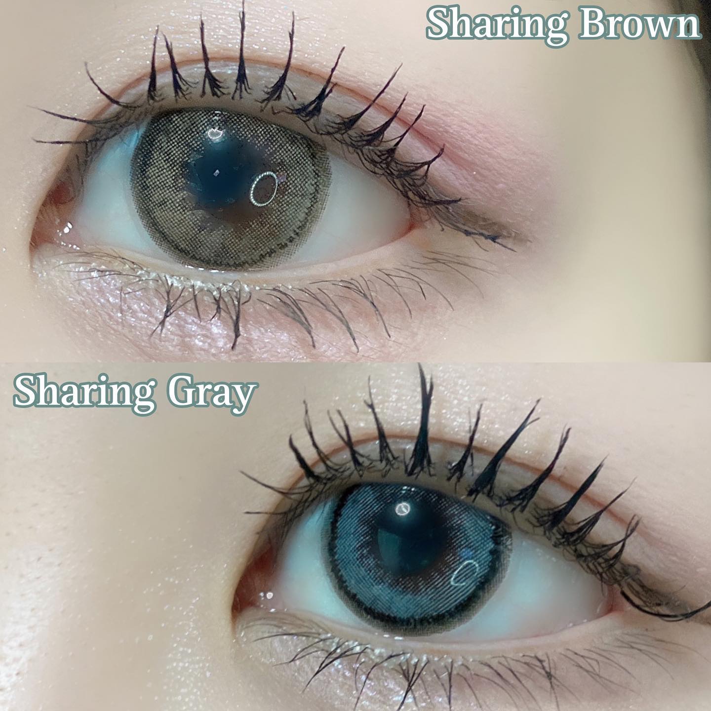 Sharing Brown /LensRang/１ヶ月（１MONTH）カラコンを使ったクチコミ（2枚目）