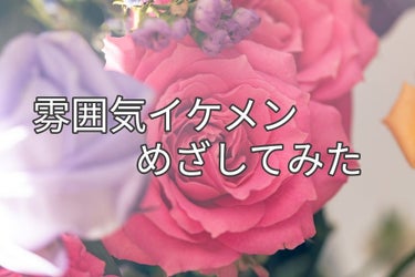 口紅（詰替用）/ちふれ/口紅を使ったクチコミ（1枚目）