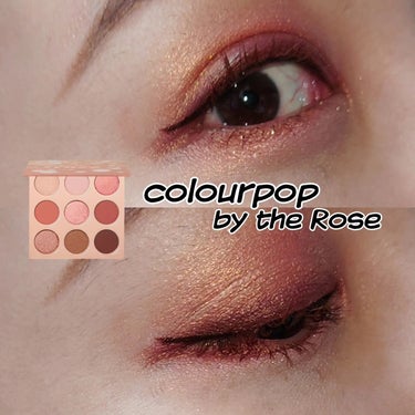 by the rose/ColourPop/アイシャドウパレットを使ったクチコミ（1枚目）