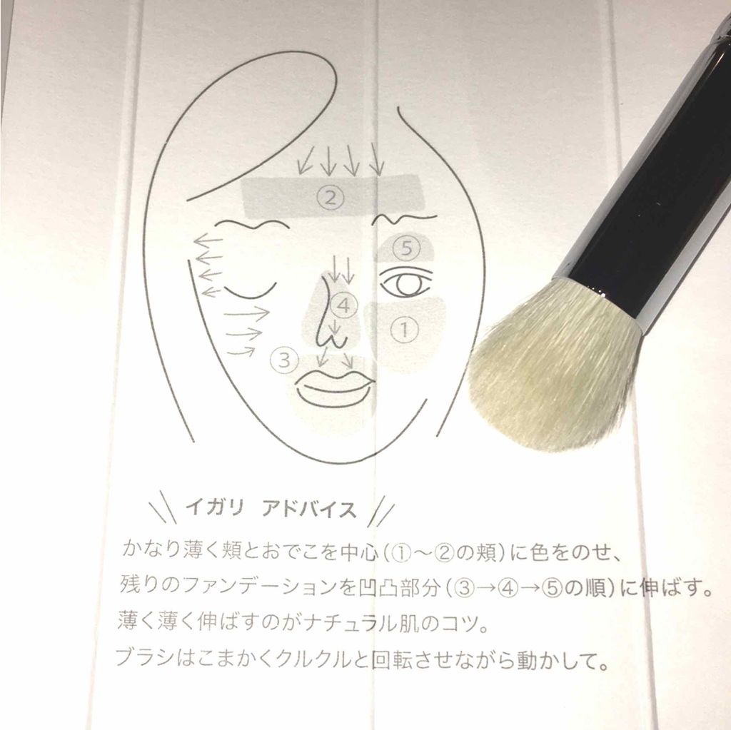 メイクブラシM 熊野筆/WHOMEE/メイクブラシを使ったクチコミ（2枚目）