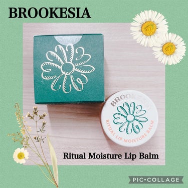 ❁✿✾ ✾✿❁︎ ❁✿✾ ✾✿❁︎



BROOKESIA様よりブルケシアリチュアルリップモイスチャーバームを提供頂きました💐‪‪𓂃 𓈒𓏸

果汁で作られたプリンのようにぷるんとした触感で厚く塗ると飴