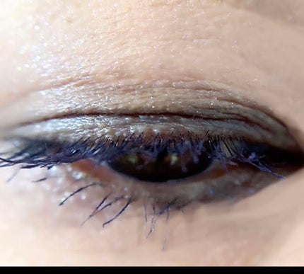 エクストラボリューム カラーマスカラ/Amplitude/マスカラを使ったクチコミ(3枚目)