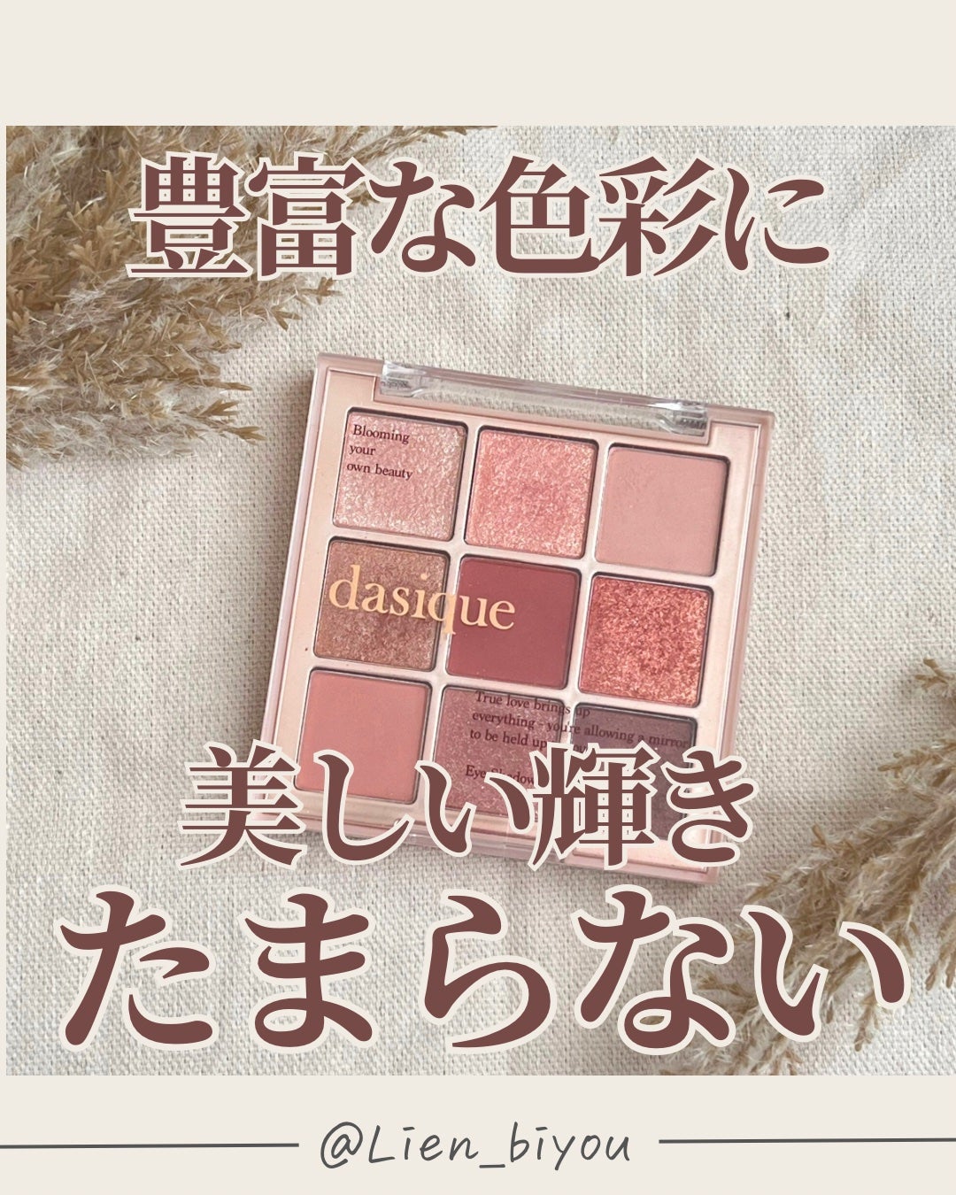 シャドウパレット/dasique/アイシャドウパレットを使ったクチコミ(1枚目)