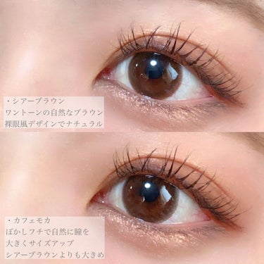 Eyes Fit Daily Shadow/CELEFIT/パウダーアイシャドウを使ったクチコミ（3枚目）