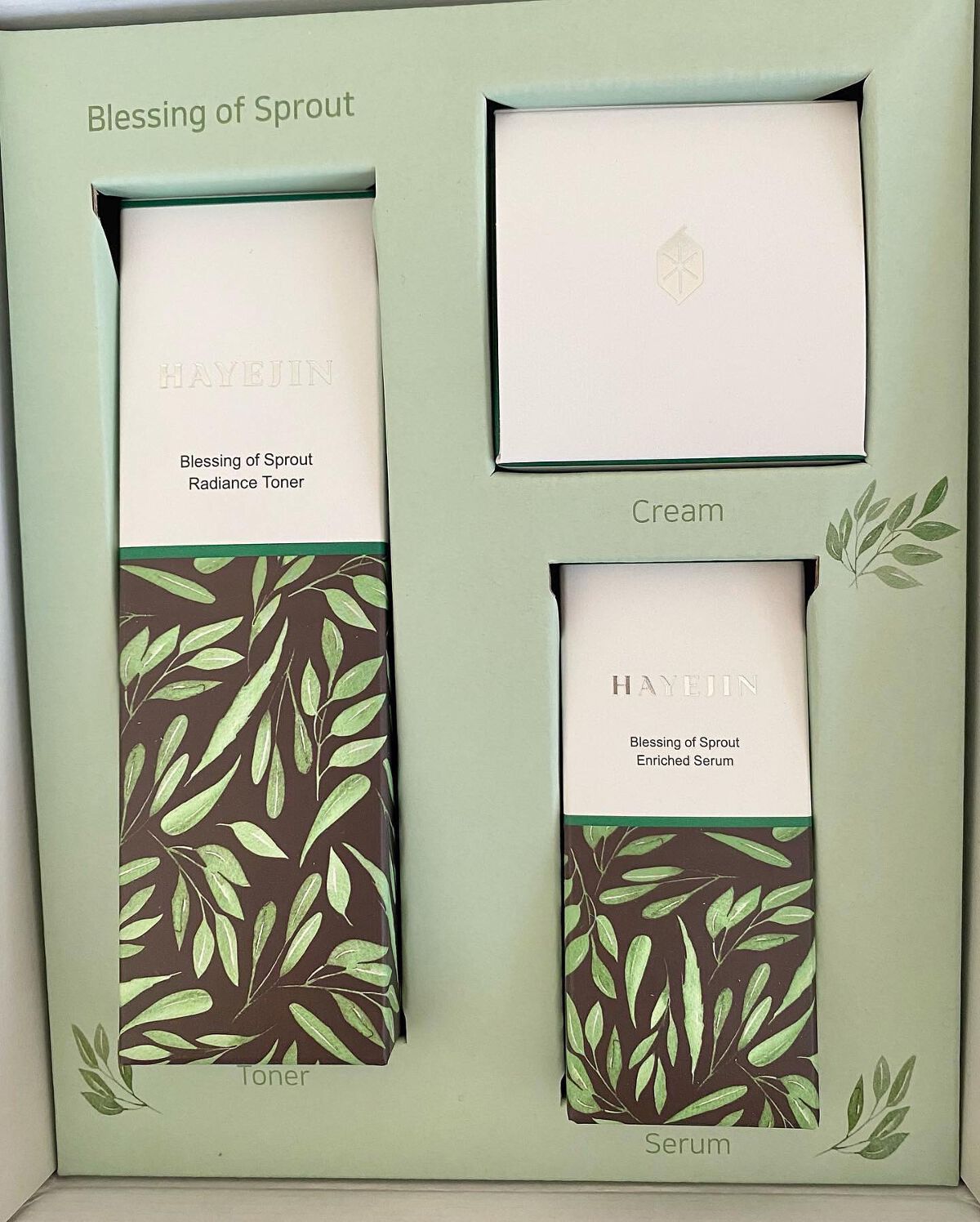 ブレッシングオブスプラウトラディアンストナー/HAYEJIN/化粧水を使ったクチコミ（3枚目）