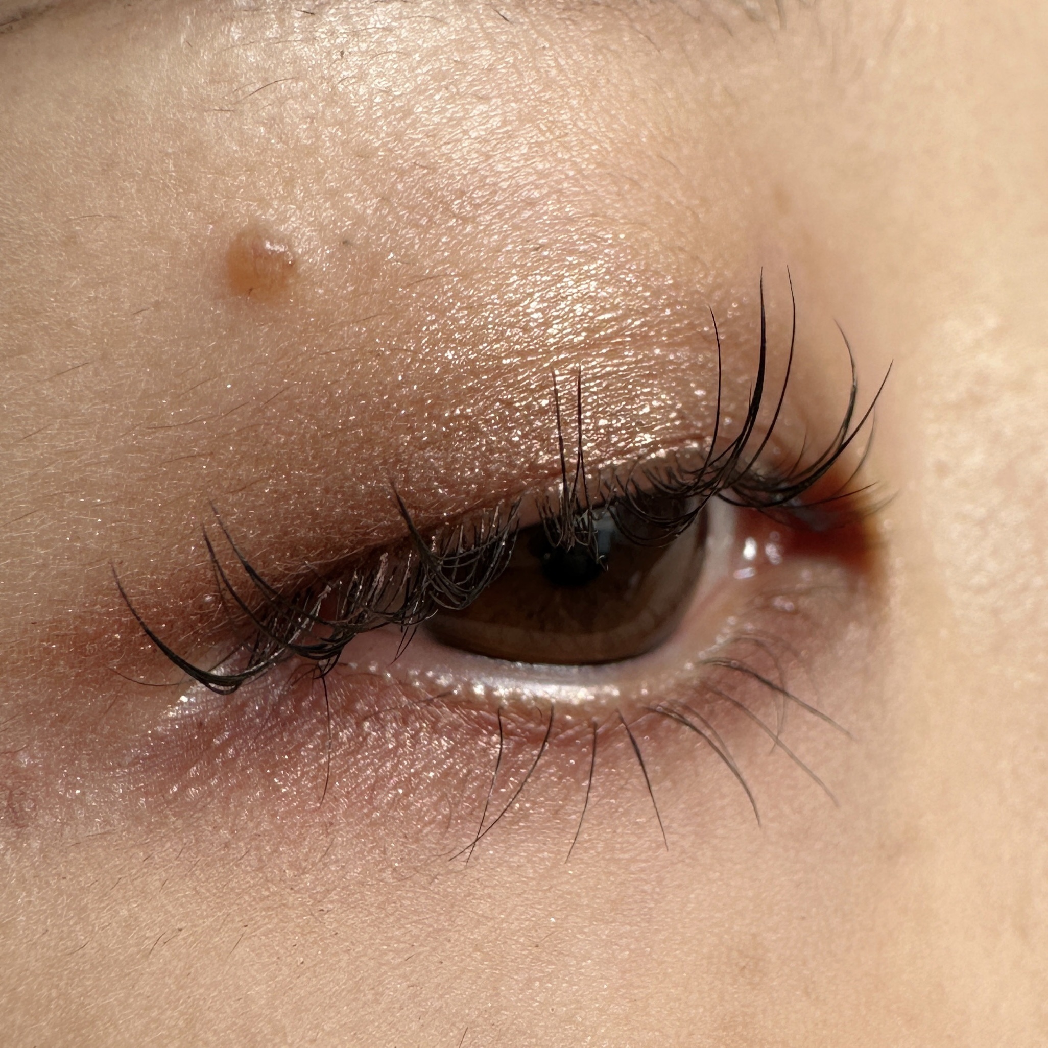 シャインアイシャドウパレット 02 ブロンズブラウン/BabyBright/アイシャドウパレットを使ったクチコミ（3枚目）