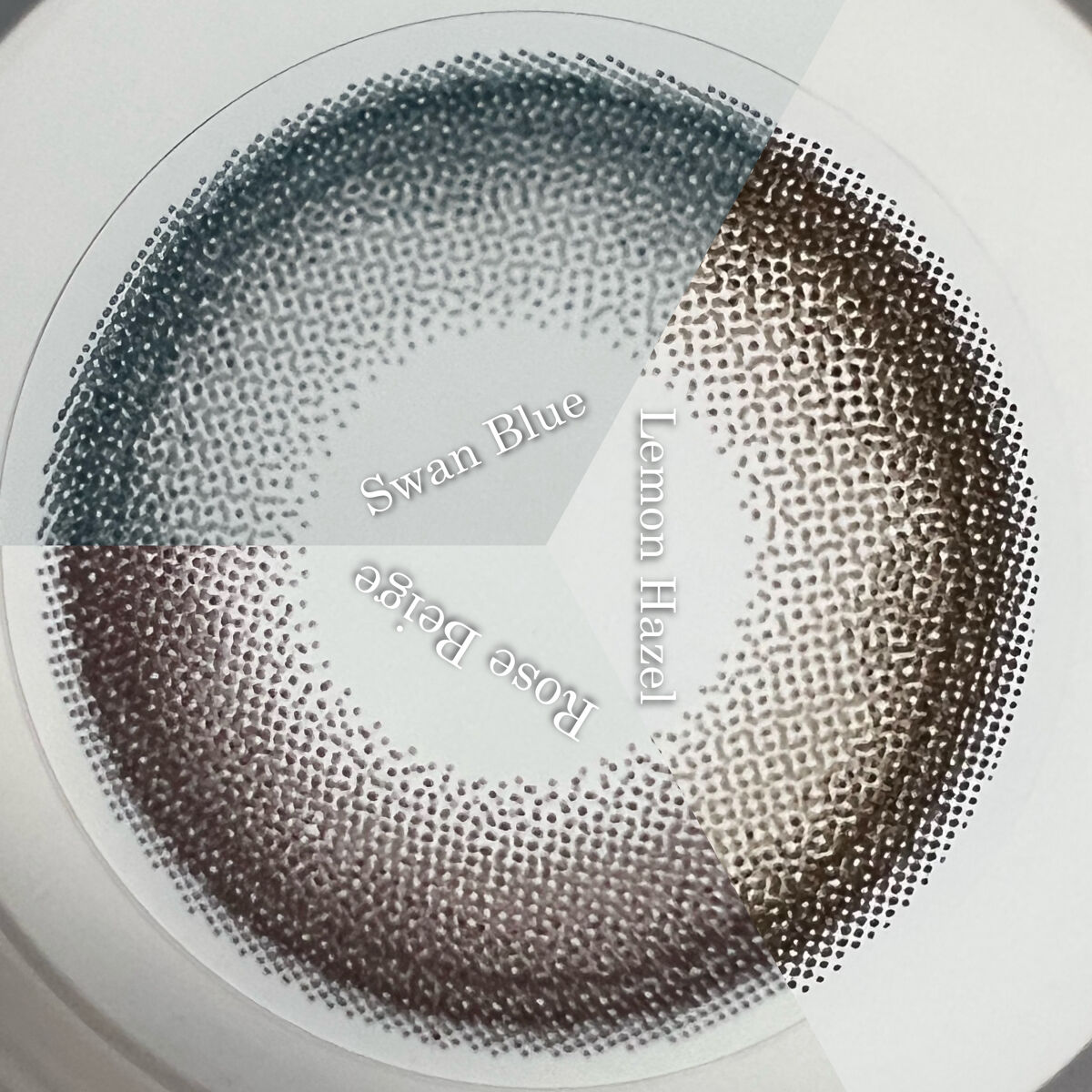 Angelcolor Bambi Series 1day /AngelColor/ワンデー（１DAY）カラコンを使ったクチコミ（3枚目）