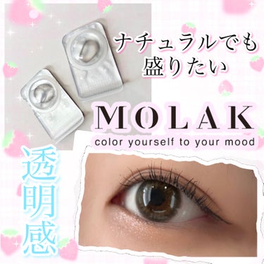 【 大人でも盛りたい透明感カラコン👀✨️ 】
━━━━━━━━━━━━━━━
                MOLAK 1day
             メルティーミスト
━━━━━━━━━━━━━