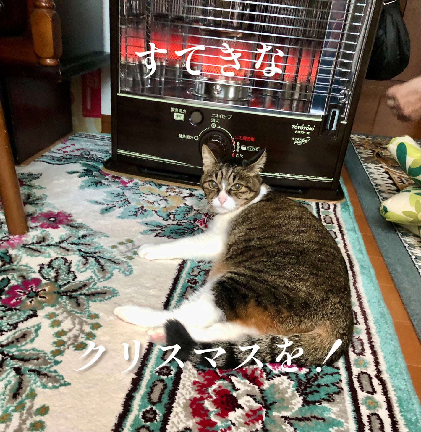 ザマデカクリーム/センテリアン24/フェイスクリームを使ったクチコミ(3枚目)