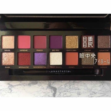 ANASTASIA Beverly Hills×Jackie Aina/アナスタシア ビバリーヒルズ/パウダーアイシャドウを使ったクチコミ（2枚目）