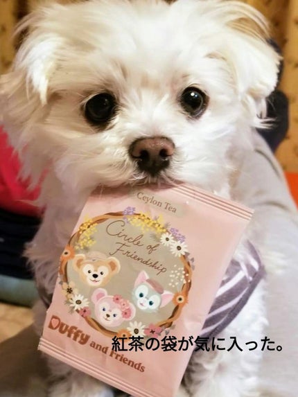 シカバイタル マスク/VT/シートマスク・パックを使ったクチコミ(3枚目)