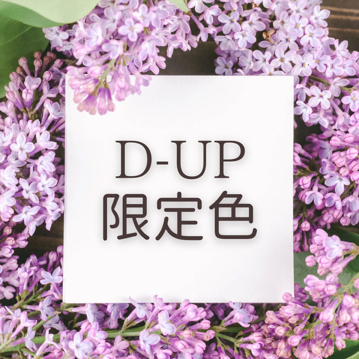 シルキーリキッドアイライナーWP/D-UP/リキッドアイライナーを使ったクチコミ（1枚目）