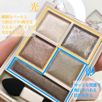 パノラマデザイン アイパレット/Visée/アイシャドウパレットを使ったクチコミ(4枚目)