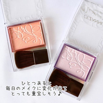 パールグロウニュアンサー/CEZANNE/パウダーハイライトを使ったクチコミ(7枚目)