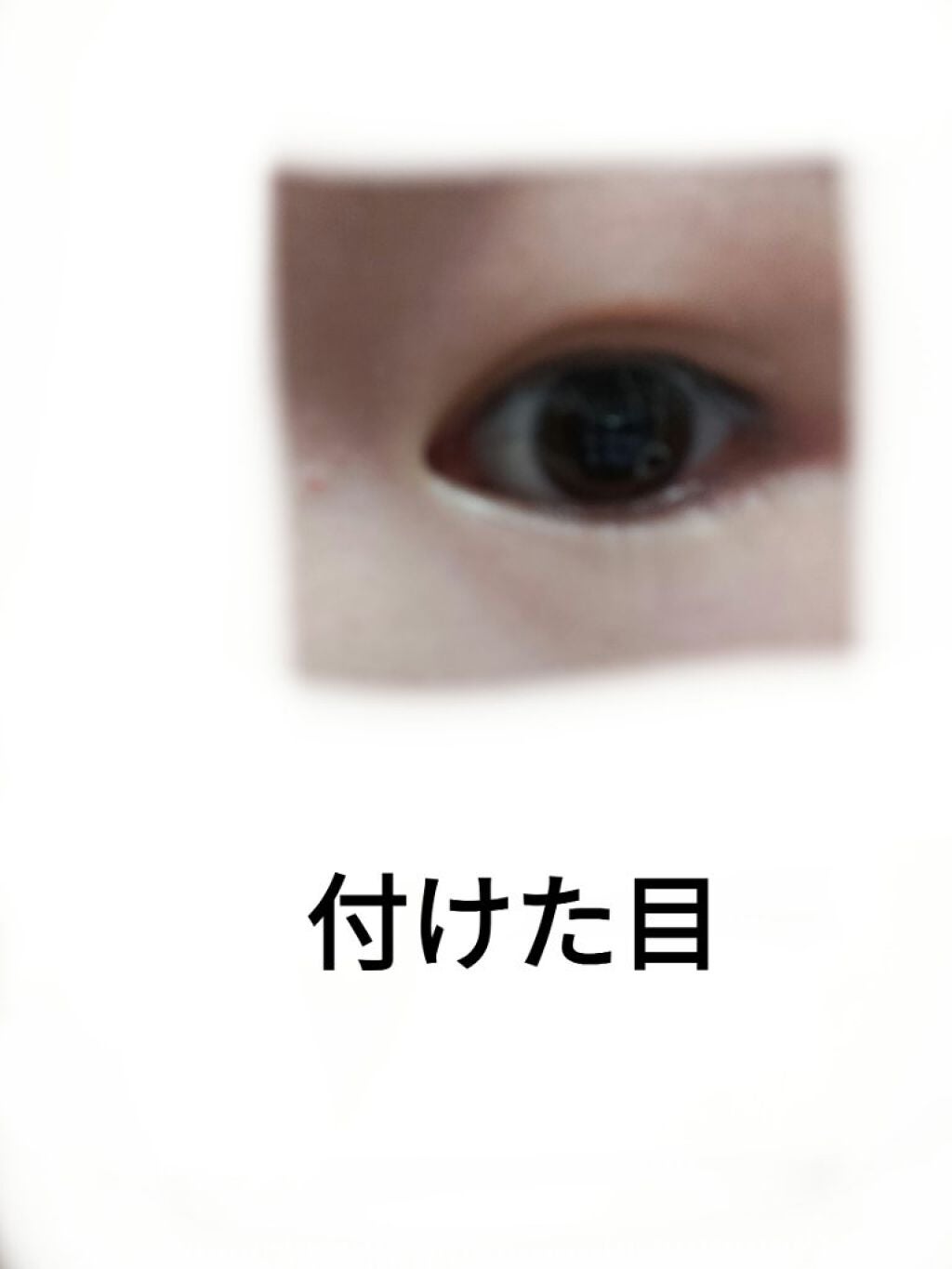 フリーファイバー120 スタンダードタイプ /メザイク/二重まぶた用アイテムを使ったクチコミ(8枚目)