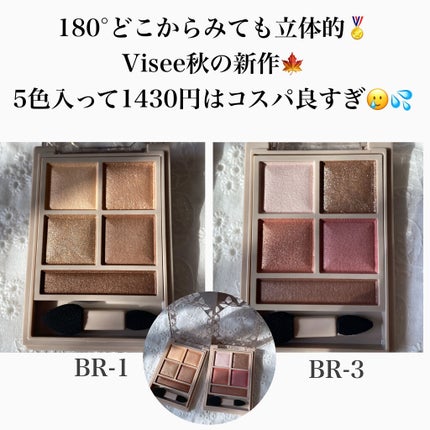 パノラマデザイン アイパレット/Visée/アイシャドウパレットを使ったクチコミ(3枚目)