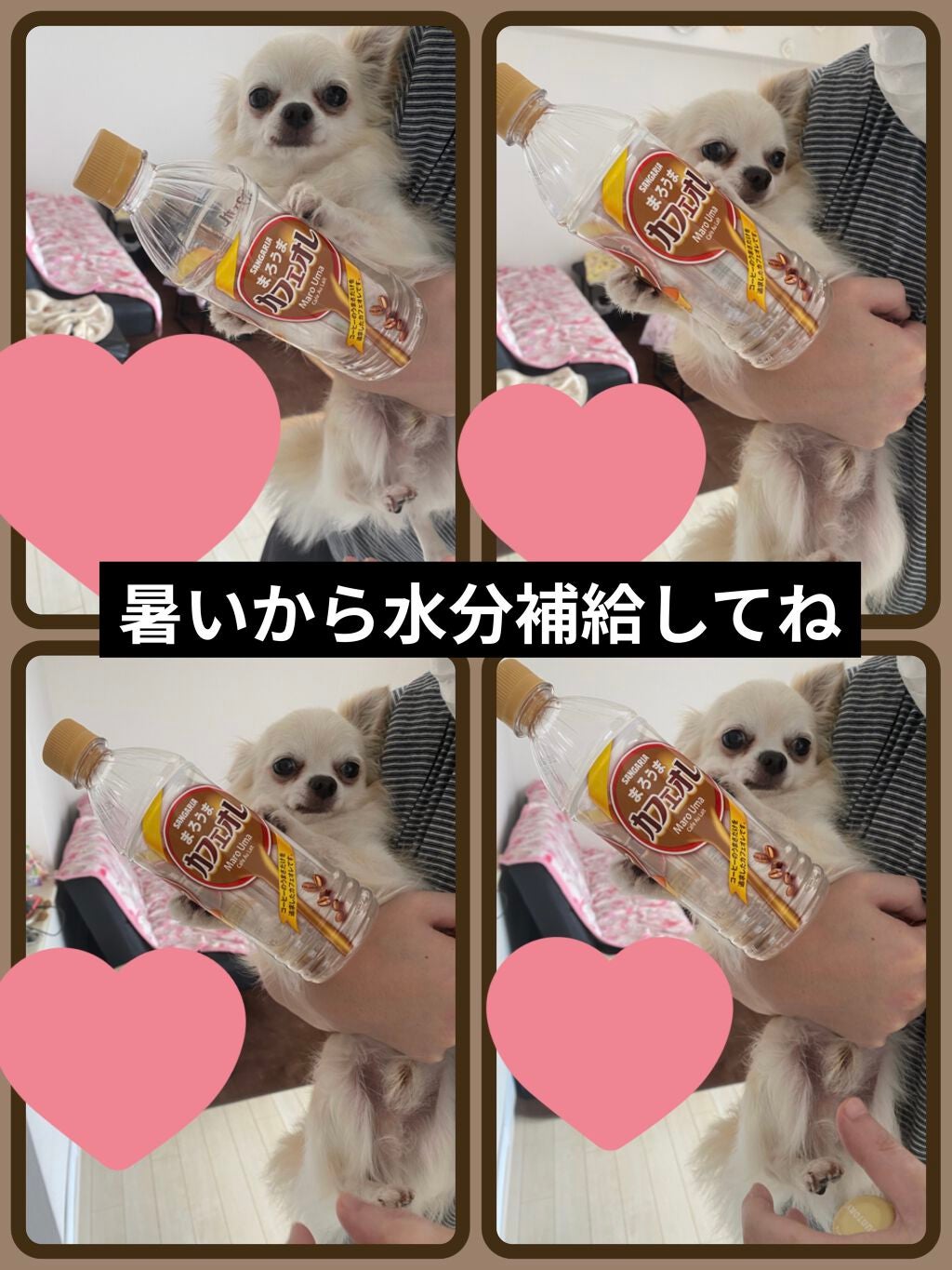 BBプロテクトUV/ナビジョンDR/BBクリームを使ったクチコミ(8枚目)