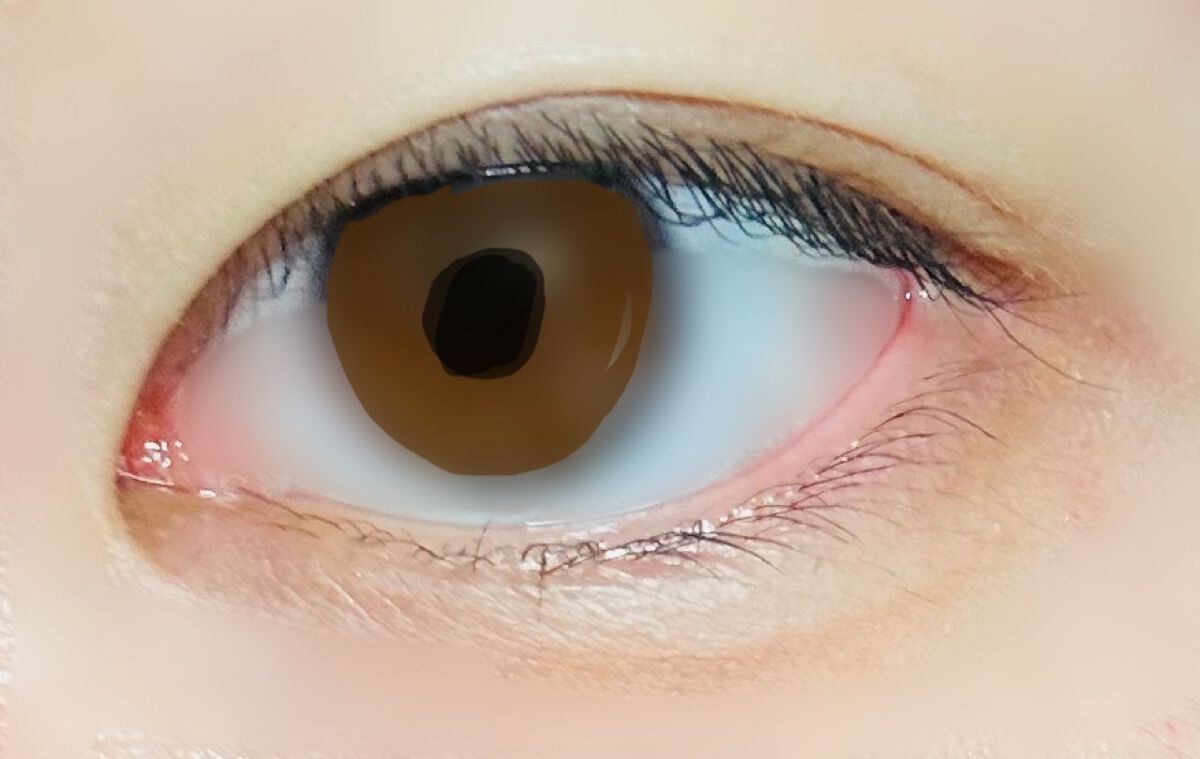 パーフェクトマルチアイズ/キャンメイク/アイシャドウパレットを使ったクチコミ(7枚目)