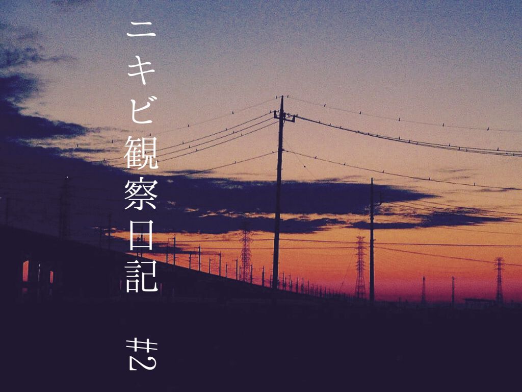 DHC はとむぎエキス/DHC/健康サプリメントを使ったクチコミ(1枚目)