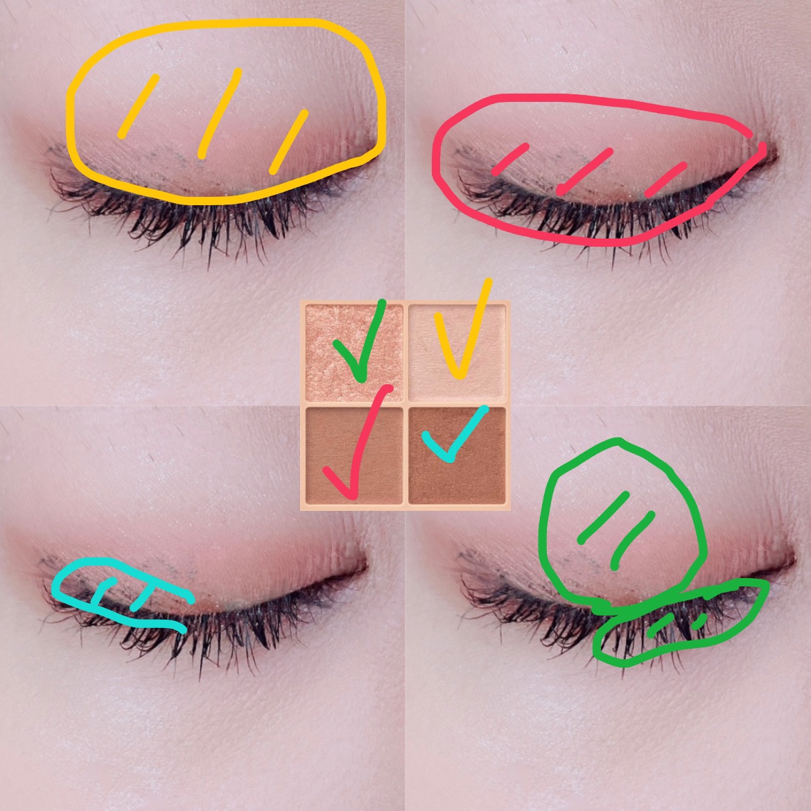 ベージュトーンアイシャドウ/CEZANNE/アイシャドウパレットを使ったクチコミ（2枚目）